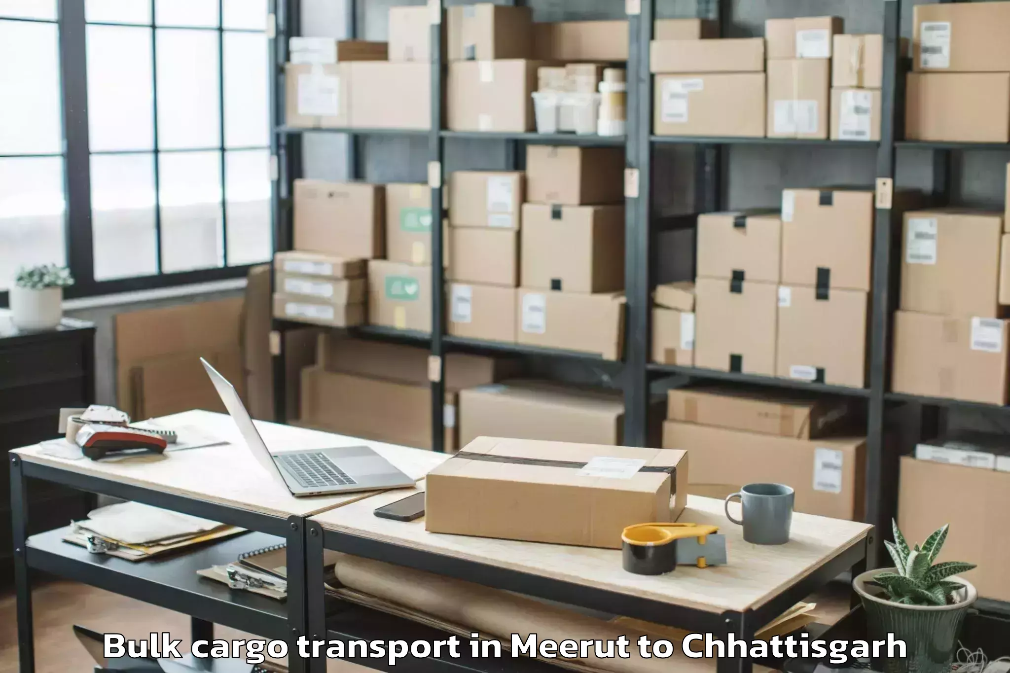 Book Meerut to City Center Mall Raipur Bulk Cargo Transport